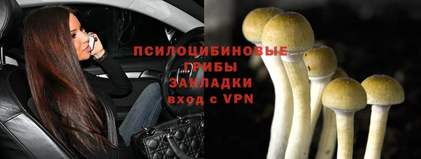 спиды Няндома
