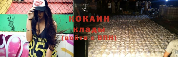спиды Няндома