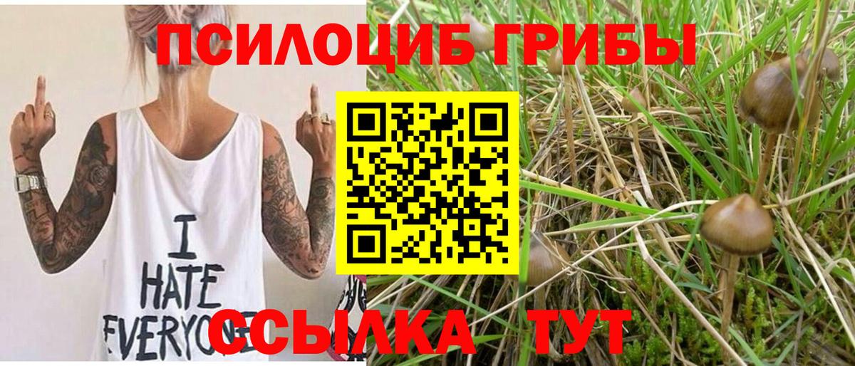 Псилоцибиновые грибы Psilocybine cubensis Самара